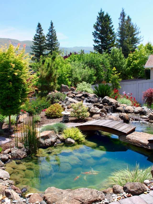 modern aquatic outdoor landscape