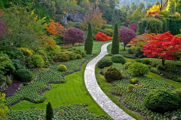 landscape-garden-path-of-stones