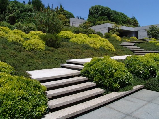 green landscape outdoor space