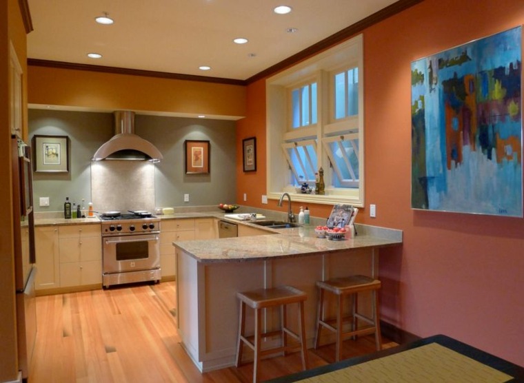 cooking kitchen idea salmon color