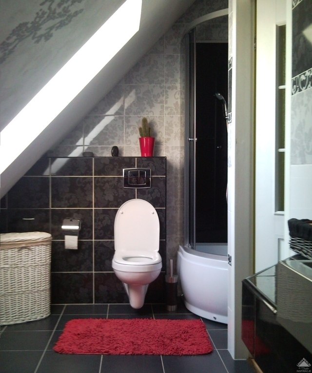 painting-bathroom-small-tile-black-beige-gloss-carpet-red painting bathroom