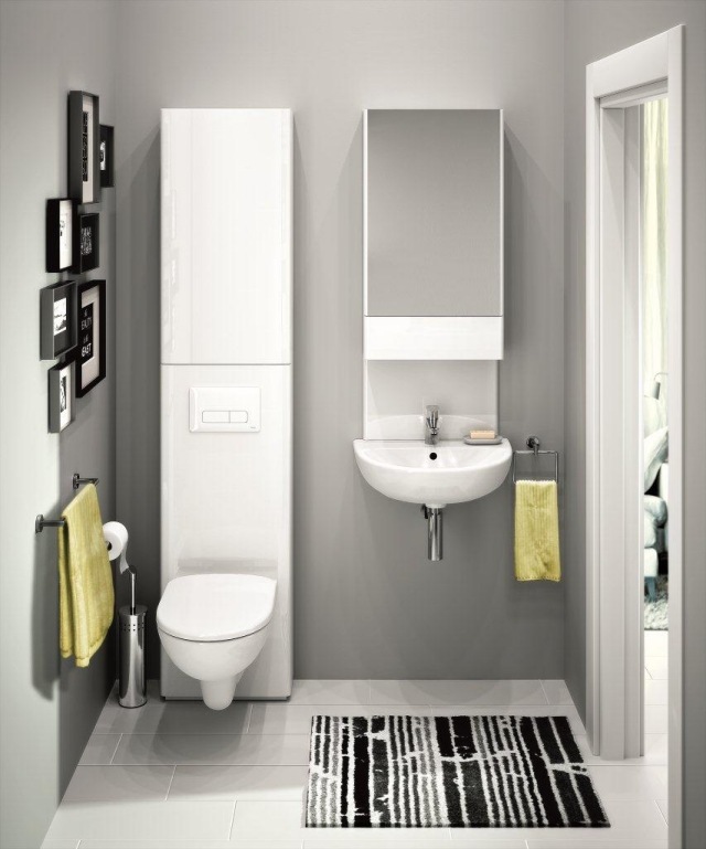 paint-bathroom-small-carpet-black-white-mirror-walls-light gray paint bathroom