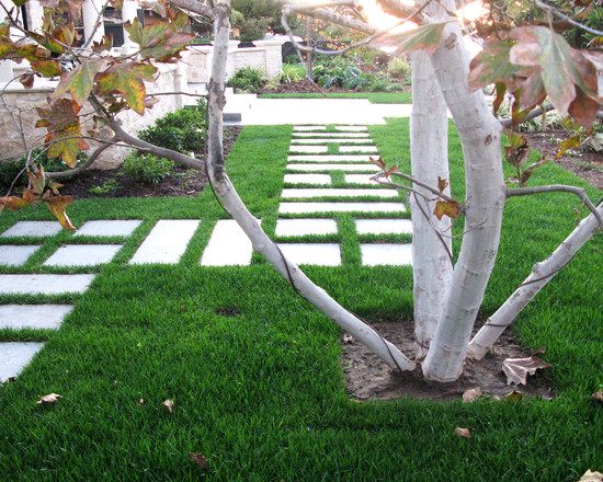 garden lawn with slab