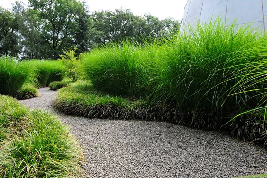 green lawn garden