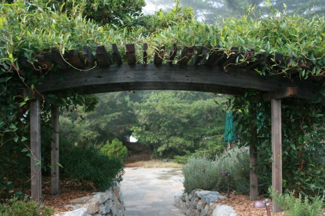 pergola originale form planter