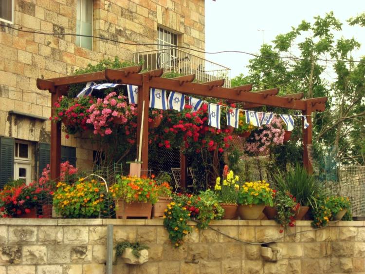 pergola terrace modern wood