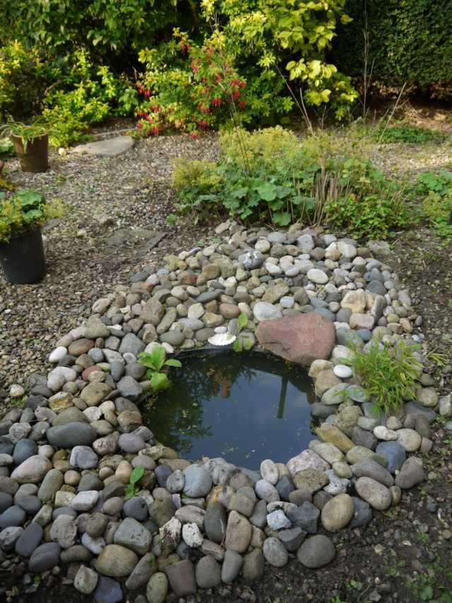 small pond surrounded by pebbles