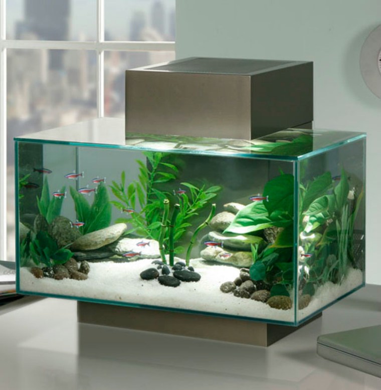akvarium design möbler deco