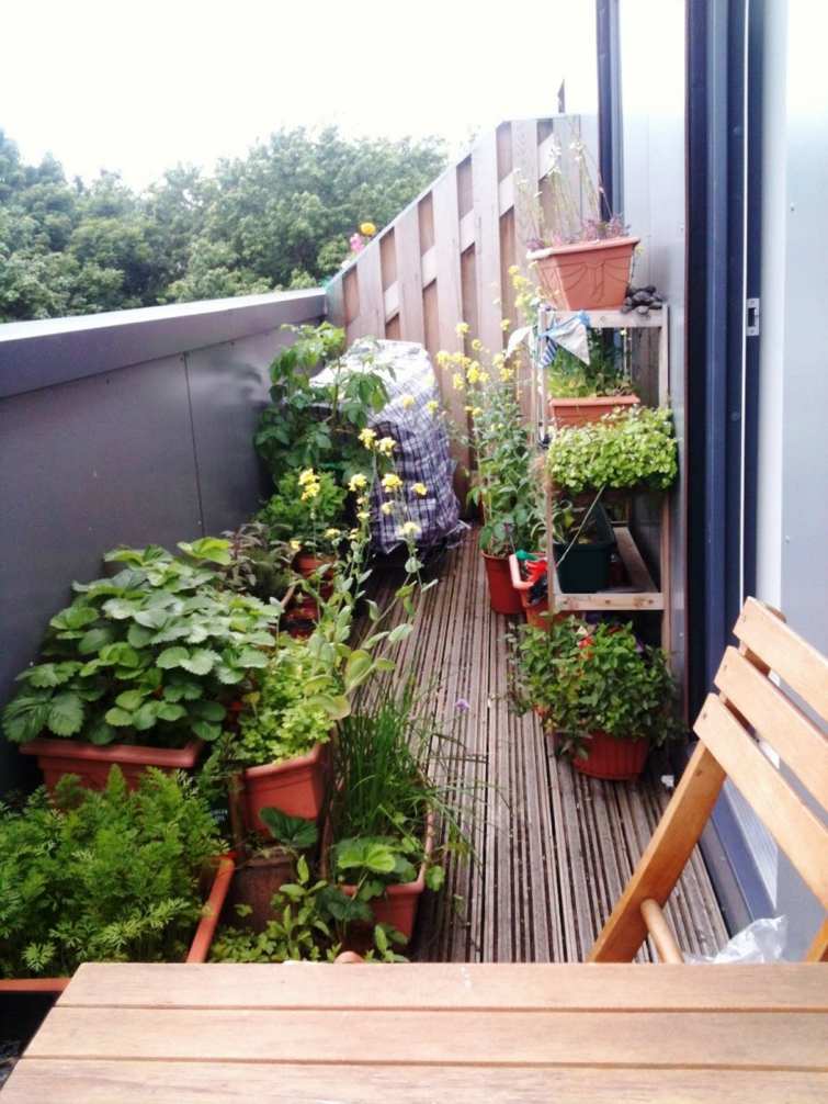 small balcony green plants