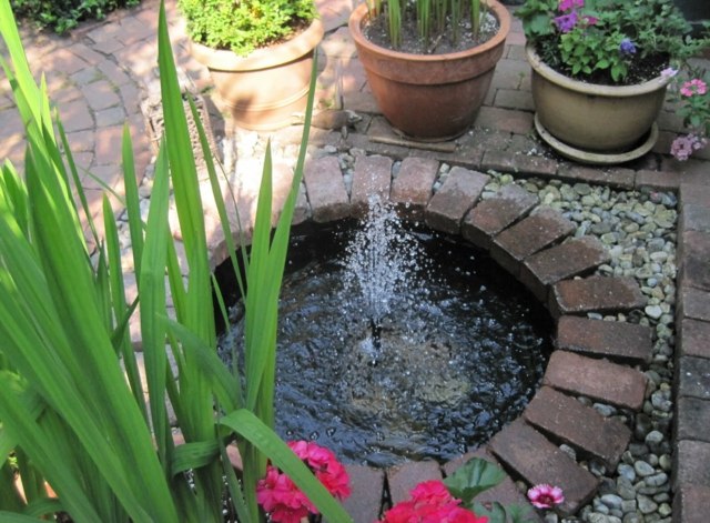 small pond with fountain gives life to the garden