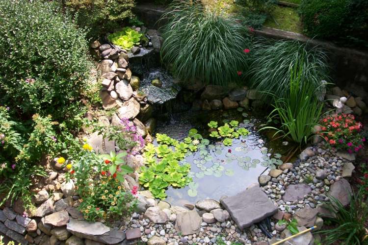 kolam taman Zen kecil