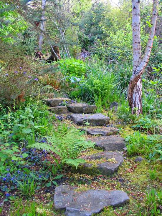 small path wild garden