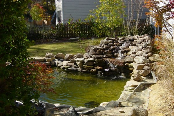 small pond ko cut stones