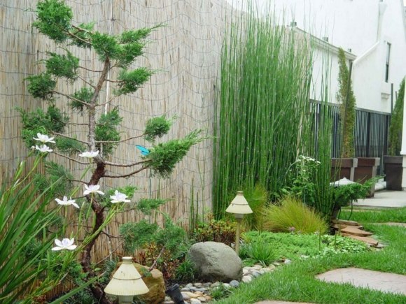 small garden bamboo deco