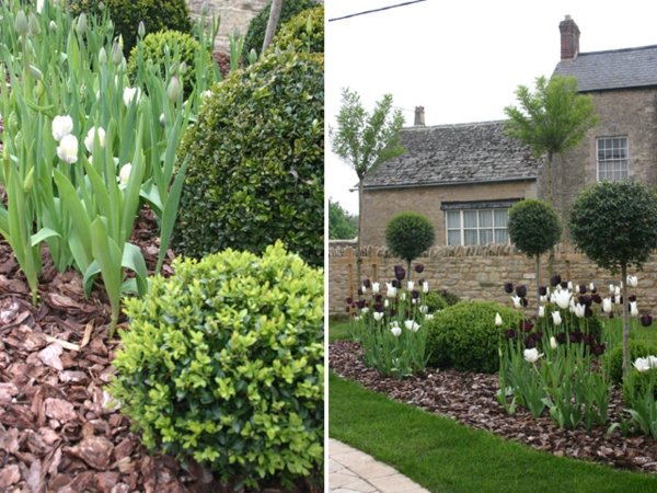 lille haven design deco tulipaner