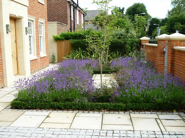 small garden in front of house