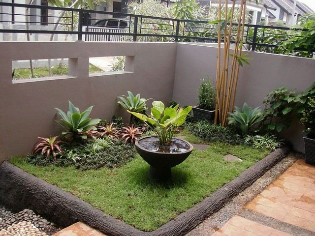 small garden modern palm tree yard