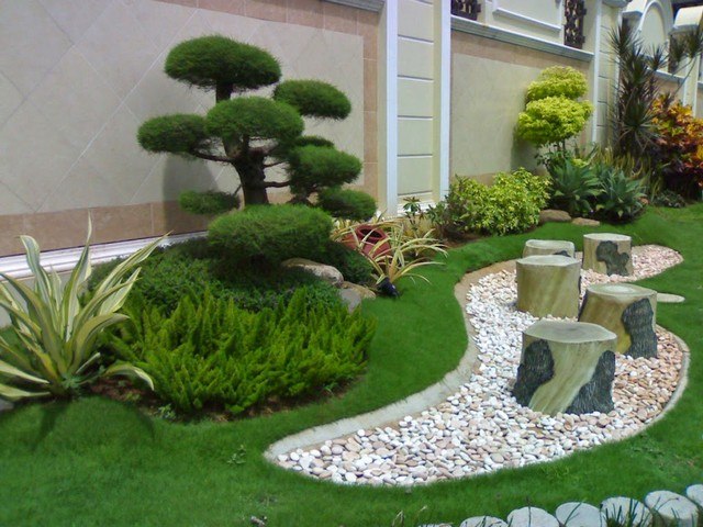 small modern garden cut vegetation