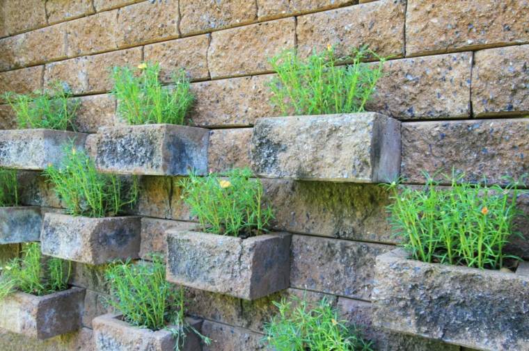 small hanging gardens outside