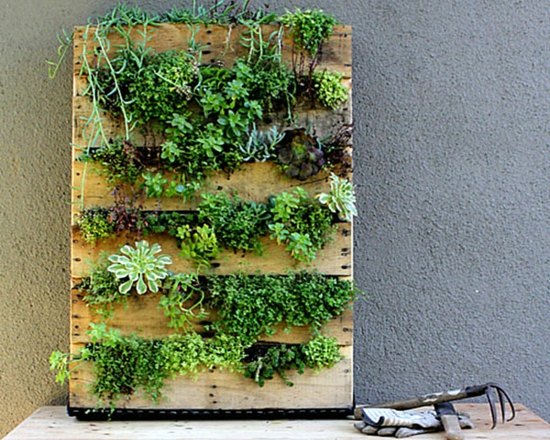 small vegetable garden interior