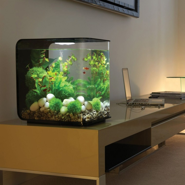 små akvarium kontorsmöbler