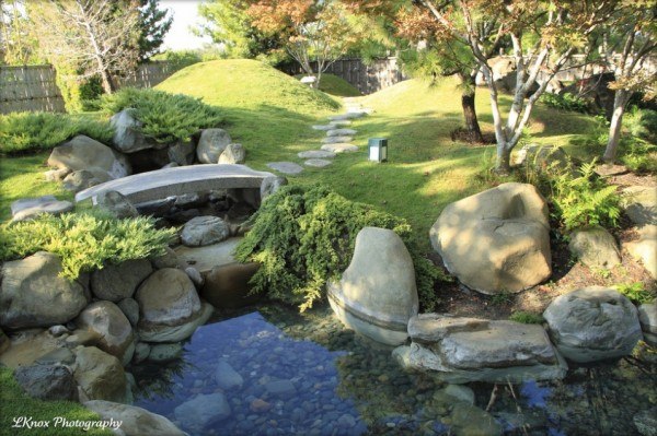 small bridge pond koi Japanese garden