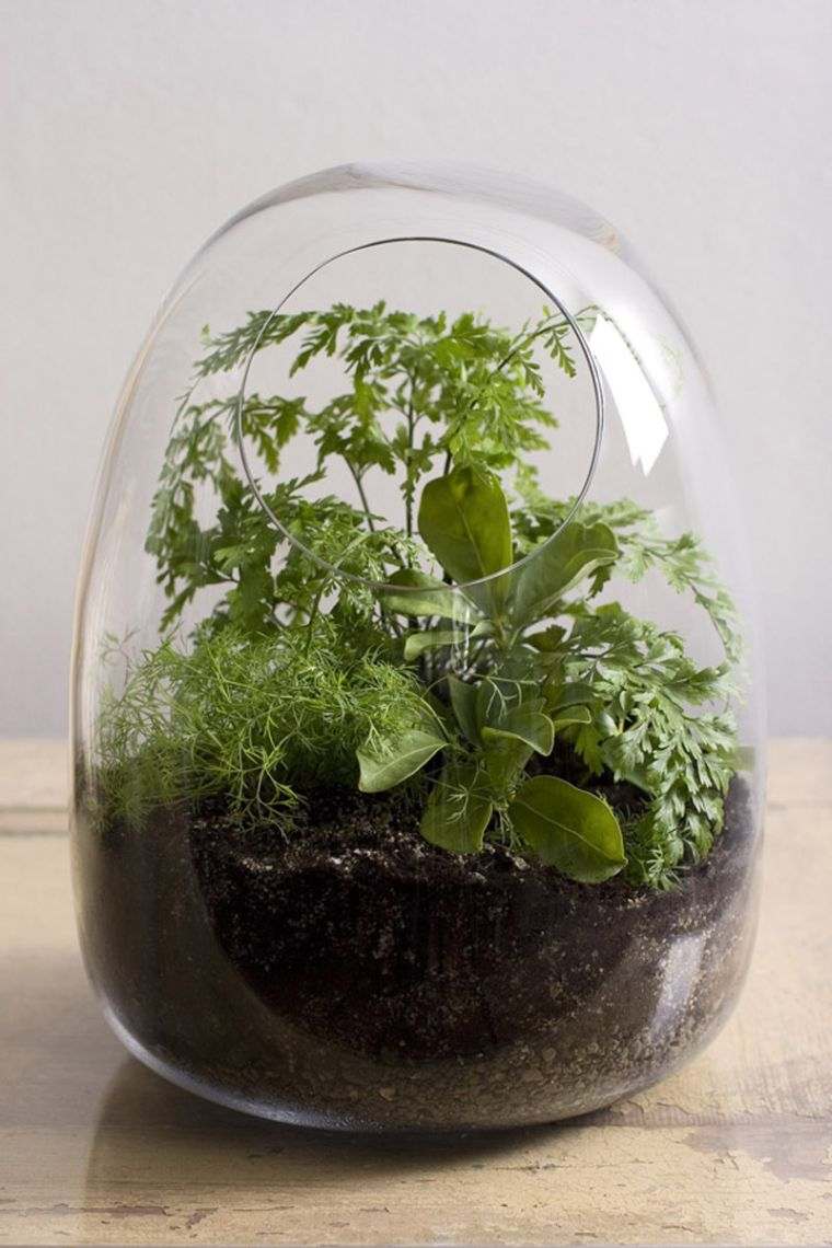 small jar and terrarium decoration