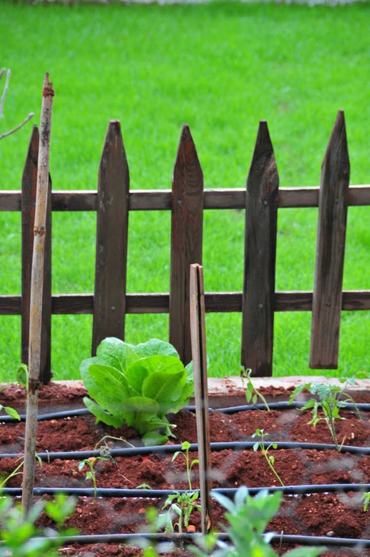 fence garden wood idea decor