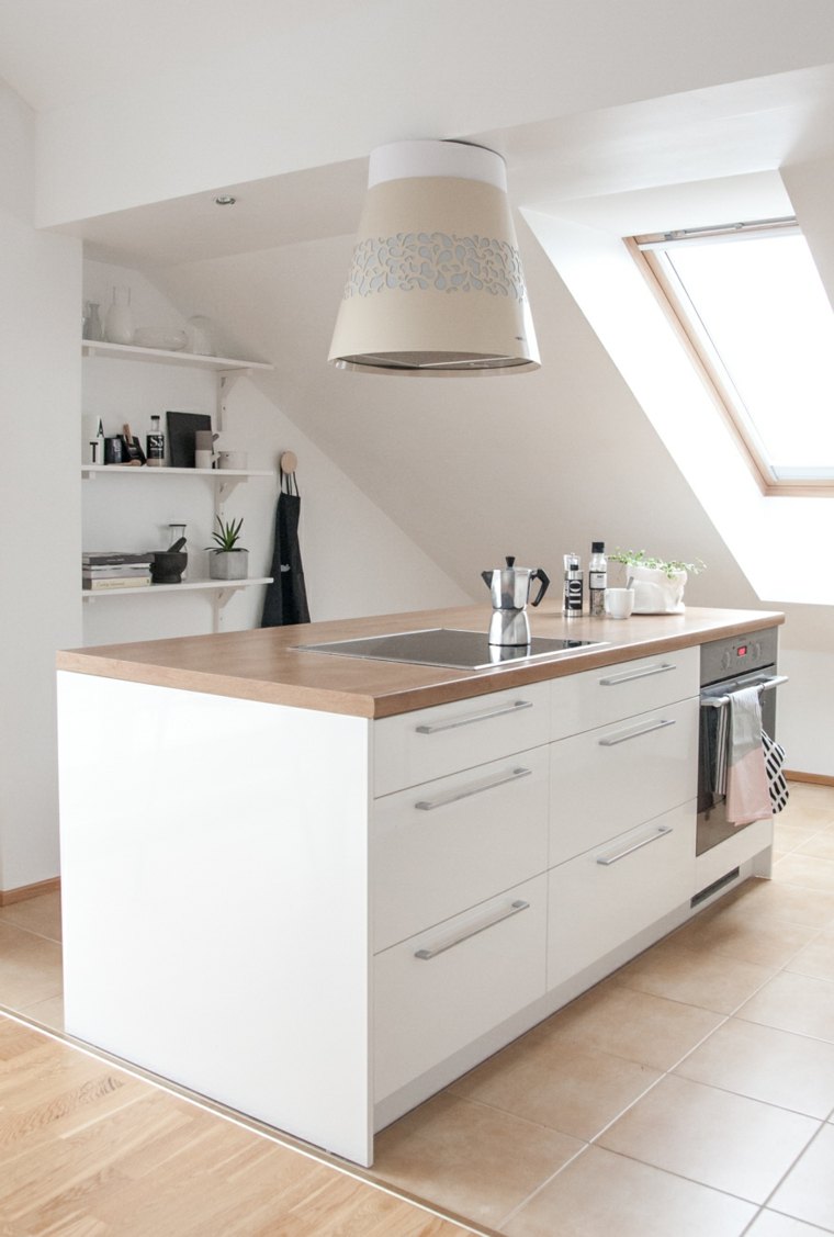 small white modern uisine