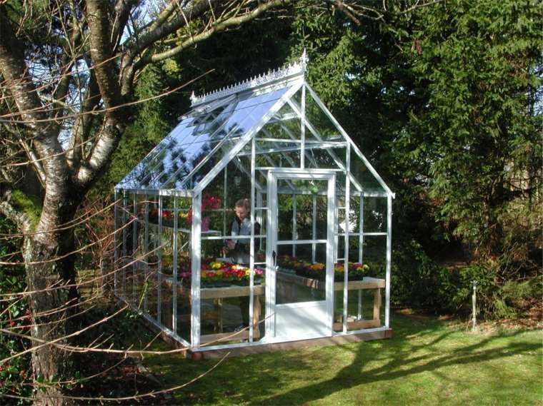 lille glas haven drivhus
