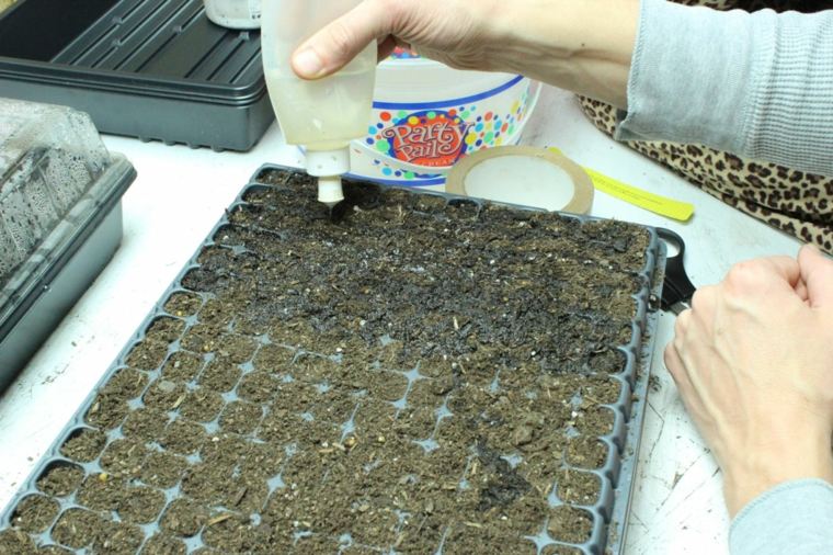 idea small greenhouse seedling germination