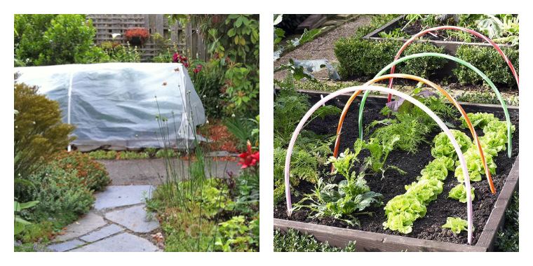 small tunnel greenhouse tinker with hoops