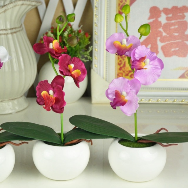 small orchid bonsai
