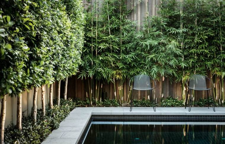 pool lined with bamboo