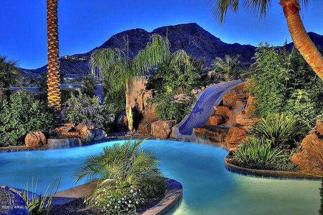 tropical swimming pool