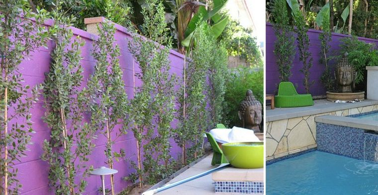 plant breeze view to adorn purple wall