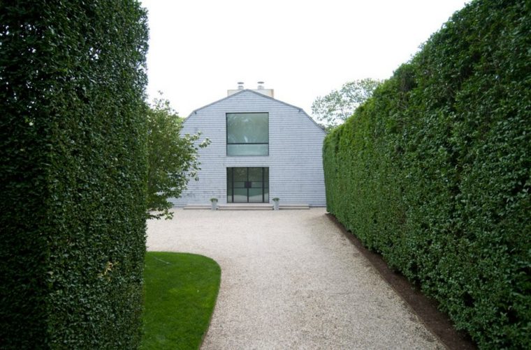 plant breeze view protects house from looks