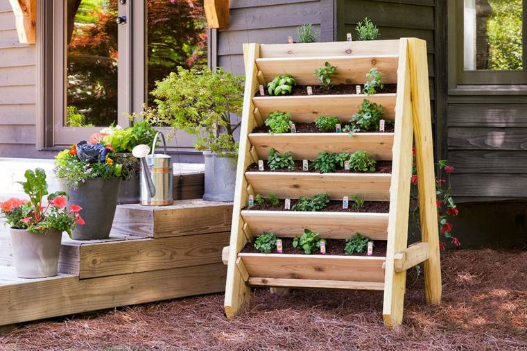 outdoor plant potted herbs