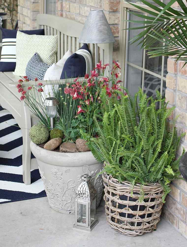 decoration with outdoor plants in pots