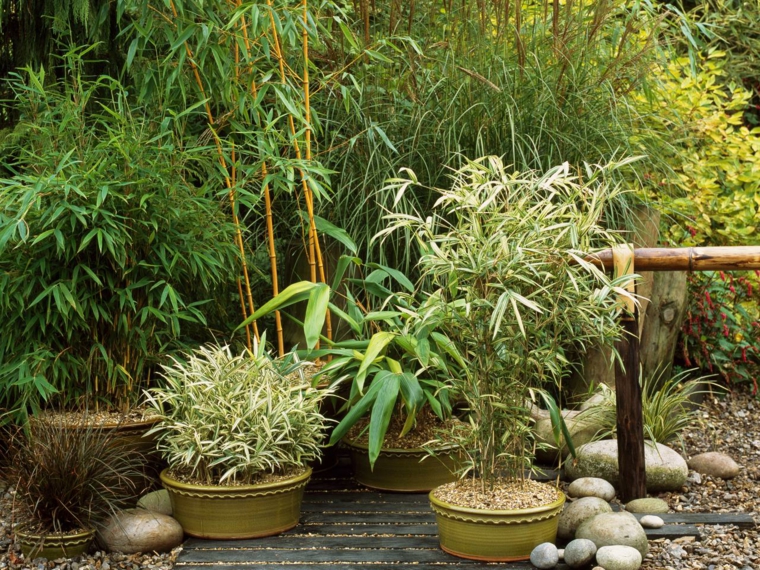 outdoor plants gardens japanese style
