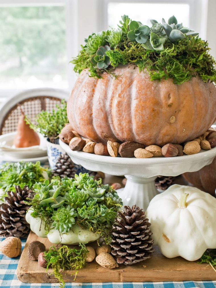 succulent plant autumn deco table