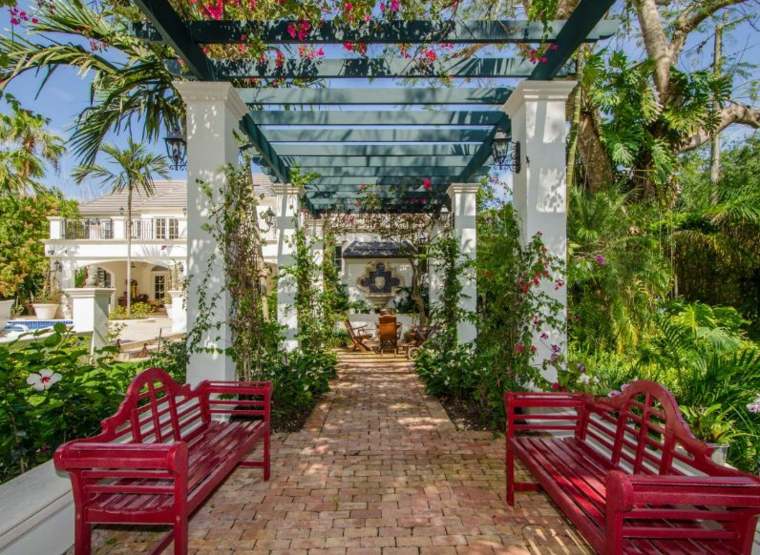 climbing plant with flowers idee deco pergola