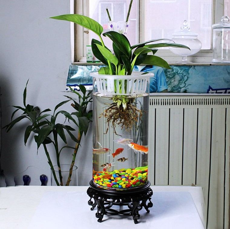 indoor plants idea terrarium fish aquarium green plant