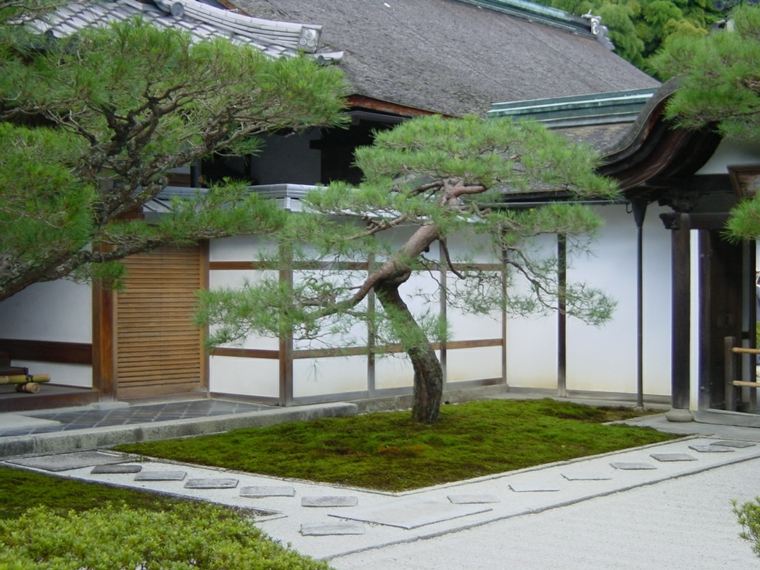 zen garden plant ideas small spaces