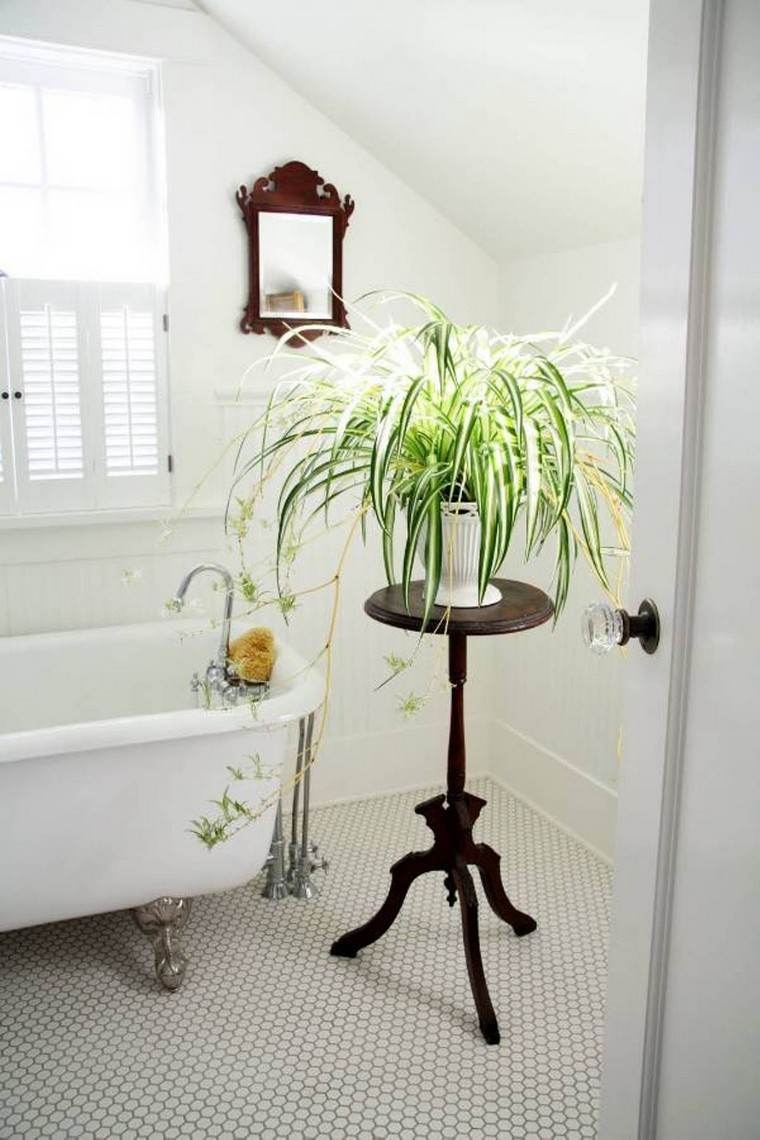 decoration bathroom nature idea plant design mirror bathtub