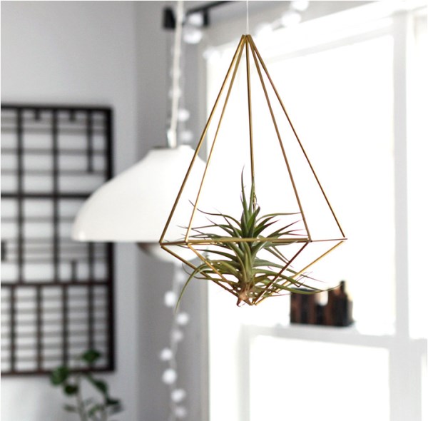 hanging plant metal frame