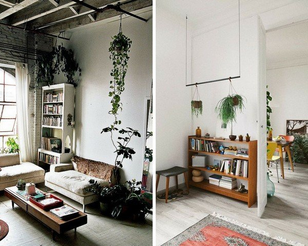 grønn plante'intérieur élément décoratif