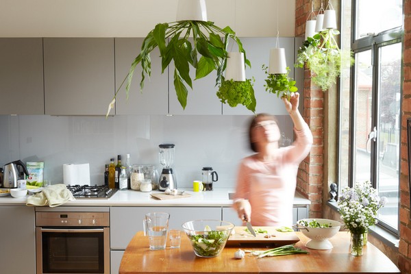 aromatiska växter hängande kök