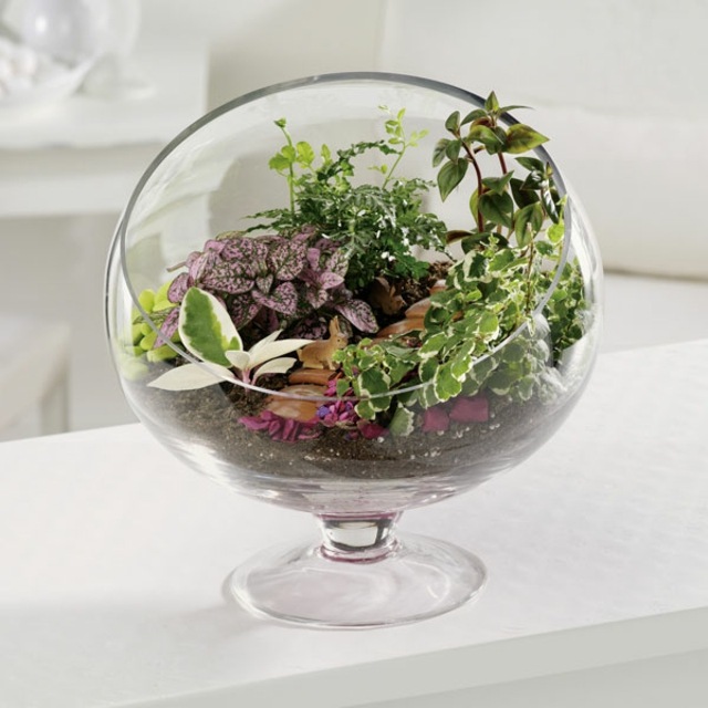 tumbuhan warna terrarium vintaj