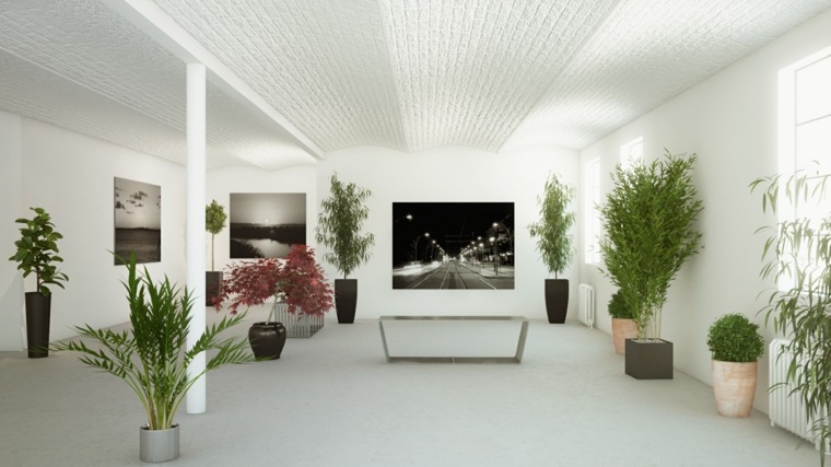 appart indoor plant idea